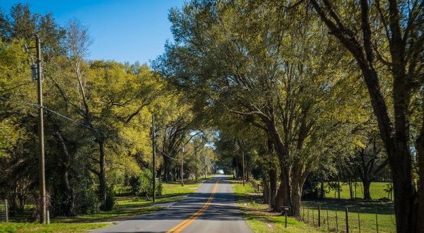 Hop In Your Car And Take Big Bend Scenic Byway For An Incredible 220-Mile Scenic Drive In Florida