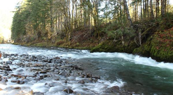 The 5-Mile Wilson River Trail In Oregon Is Full Of Jaw-Dropping Natural Pools