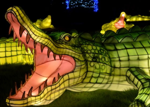 Get Lost In A Dreamy Wonderland At Asian Lantern Spectacular In Rhode Island