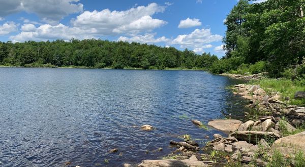 Cool Off At The Hidden Finerty Pond In Massachusetts’ October Mountain State Forest