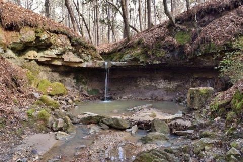 The St. Mary’s Falls Trail In Louisiana Is A Quick And Easy Trail That'll Take You To A Waterfall