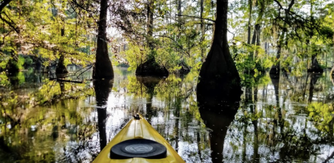 The 8-Mile Paddle Trail Is The Best Way To See Chicot State Park