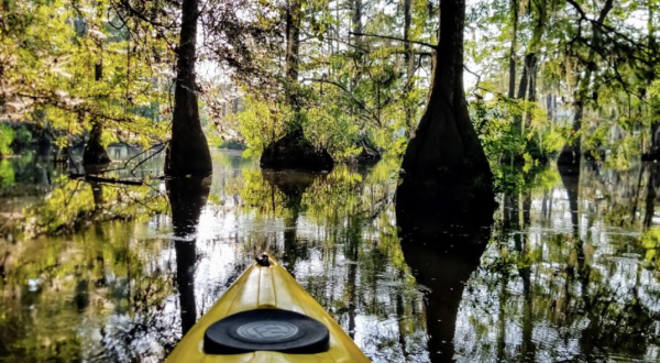 The 8-Mile Paddle Trail Is The Best Way To See Chicot State Park