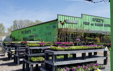 Both A Garden Center And A Petting Zoo, McKee's In Idaho Is An Underrated Day Trip Destination