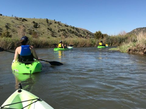 Cruise Through The Mighty Madison River On This Unique Montana Kayak Adventure