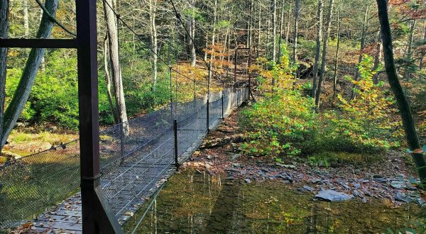 The Stomach-Dropping Suspended Bridge Walk You Can Only Find In Pennsylvania