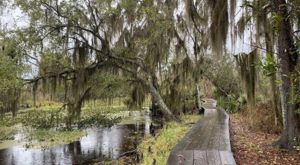 6 Incredible Natural Wonders In Louisiana That You Can Witness For Free