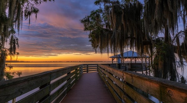 7 Incredible Natural Wonders In Florida That You Can Witness For Free