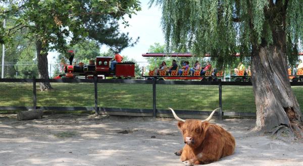 The Saginaw Children’s Zoo In Michigan Is Home To A Mini Train Ride, A Carousel, And Animals Galore