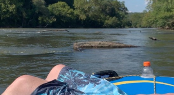Take The Longest Float Trip In North Carolina This Summer On The French Broad River