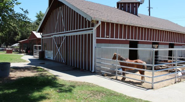 For A Family-Fun Day Trip, You Can Feed Baby Goats And Ride A Pony At Montebello Barnyard Zoo In Southern California