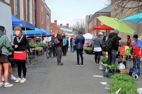 Northampton Farmers Market Is One Of The Biggest And Best In Massachusetts And It's Finally Reopening