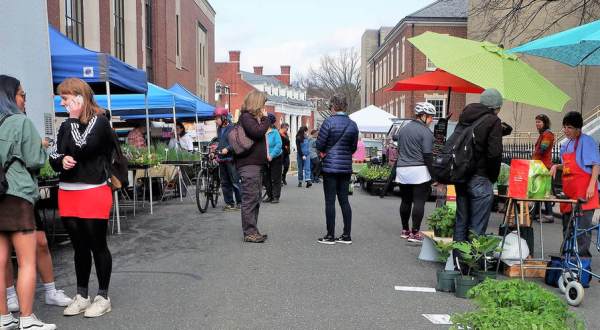 Northampton Farmers Market Is One Of The Biggest And Best In Massachusetts And It’s Finally Reopening