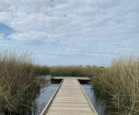 The Sugar Mill Nature Trail Near New Orleans Is A 1.5-Mile Out-And-Back Hike With A Marsh View Finish