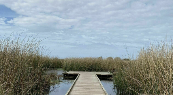 The Sugar Mill Nature Trail Near New Orleans Is A 1.5-Mile Out-And-Back Hike With A Marsh View Finish