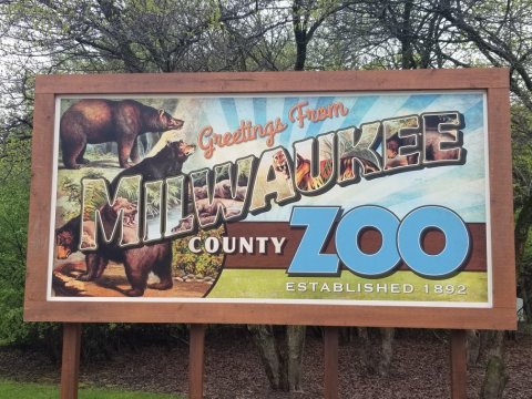 Play With Penguins At Milwaukee County Zoo In Wisconsin For An Adorable Adventure
