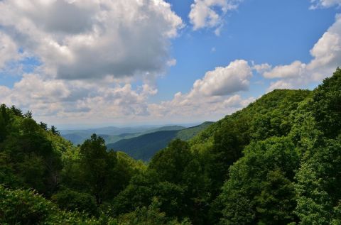 Bluff Mountain Trail Is A Gorgeous Forest Trail In North Carolina That Will Take You To An Overlook
