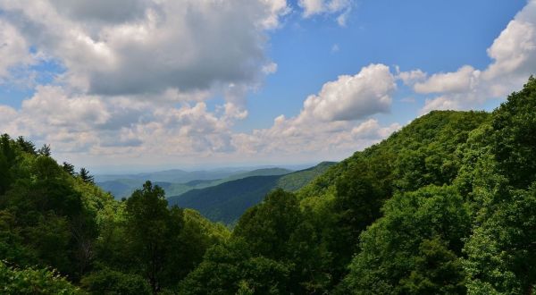 Bluff Mountain Trail Is A Gorgeous Forest Trail In North Carolina That Will Take You To An Overlook