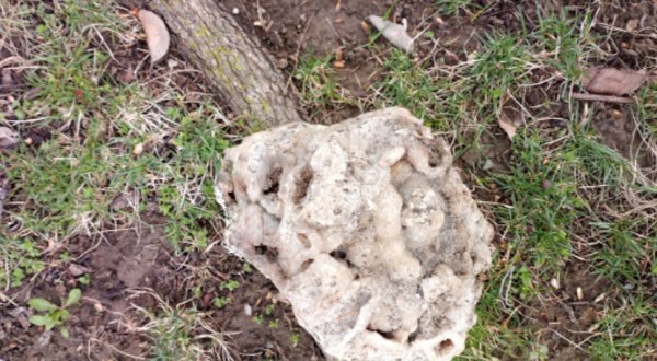 You’ll Love Digging For Quartz At The Unique Haunted Ridge Rocks In Missouri