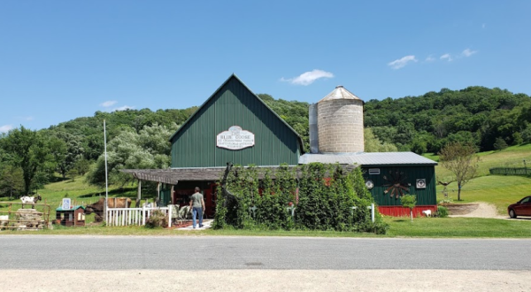 Tucked Away In The Wisconsin Countryside, The Goose Barn Is Hiding Some Legendary Pizza And Ice Cream