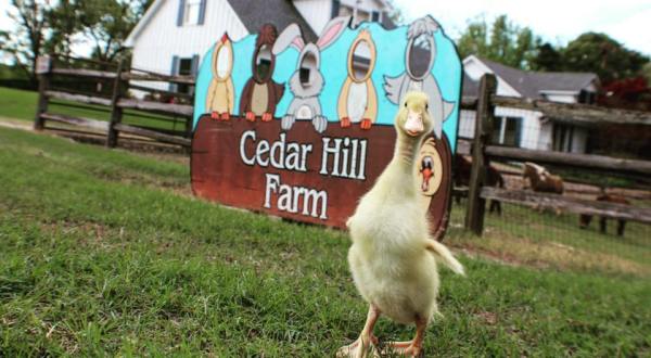 You’ll Want To Visit The Barn, A Remote Farm Restaurant In Mississippi