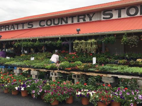 Get Farm Fresh Produce And Homemade Goods At Pratt's Country Store In Tennessee