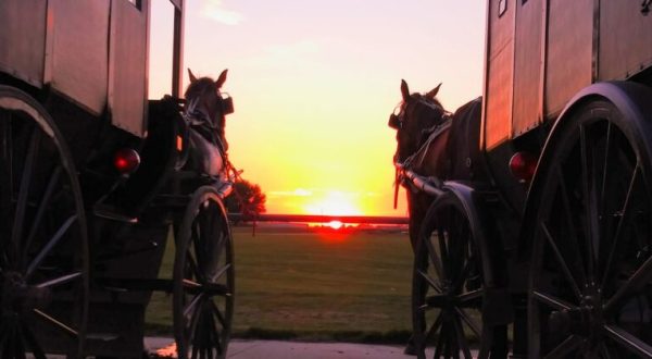 Take A Carriage Ride Through Shipshewana For A Truly Unique Indiana Experience