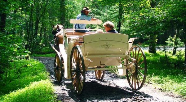 Take A Carriage Ride Through The Mountains For A Truly Unique Tennessee Experience