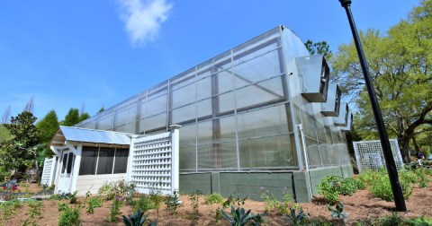 Cypress Gardens Of South Carolina Is Home To The State's Largest Butterfly House