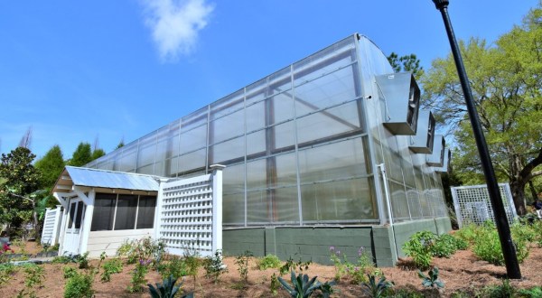 Cypress Gardens Of South Carolina Is Home To The State’s Largest Butterfly House