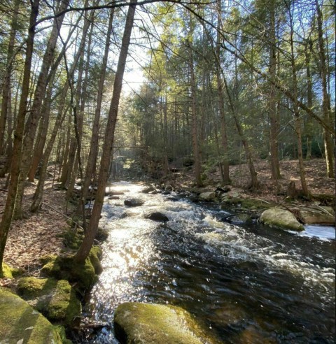 The Gorgeous 1.8-Mile Hike In Massachusetts’ Buffam Falls Conservation Area That Will Lead You Past A Waterfall And A River