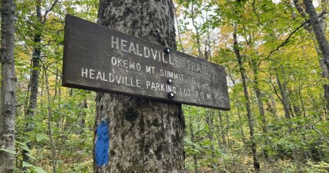 Explore Okemo State Forest In Vermont On This Scenic Wildflower Hike With Surreal Views