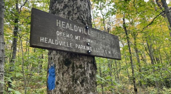 Explore Okemo State Forest In Vermont On This Scenic Wildflower Hike With Surreal Views