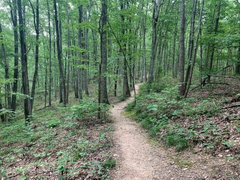 The 7 Most Beautiful Short And Sweet Hikes Near Nashville