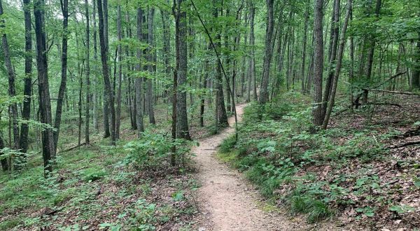 The 7 Most Beautiful Short And Sweet Hikes Near Nashville