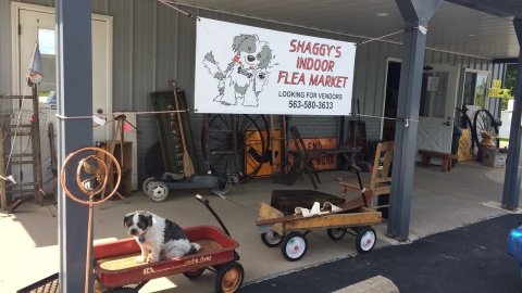 Shop 'Til You Drop At Shaggy's One Of The Largest Flea Markets In Iowa