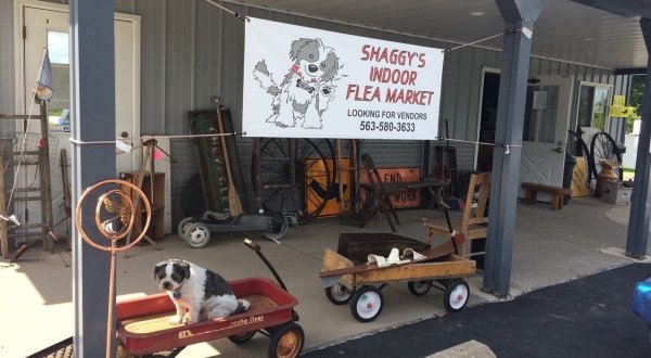Shop ‘Til You Drop At Shaggy’s One Of The Largest Flea Markets In Iowa