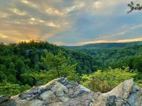 Pogue Creek Canyon State Natural Area In Tennessee Has Some Of The Most Stunning Scenery In The State