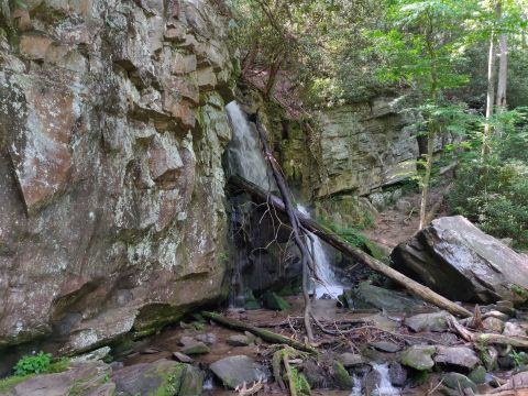 The 3-Mile Baskins Creek Falls Trail In Tennessee Takes You Through The Enchanting Great Smoky Mountains
