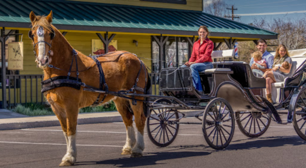 Take A Carriage Ride Through Rugged Central Oregon For A Truly Unique Experience