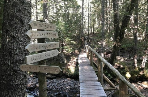 The Little Harbor Brook Trail In Maine Is A Big Secluded Treasure