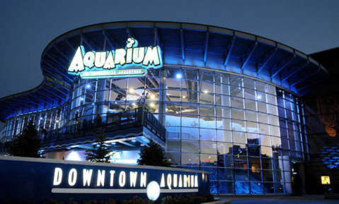 Both A Restaurant And Aquarium, Colorado's Downtown Aquarium Is An Underrated Day Trip Destination