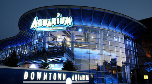 Both A Restaurant And Aquarium, Colorado’s Downtown Aquarium Is An Underrated Day Trip Destination