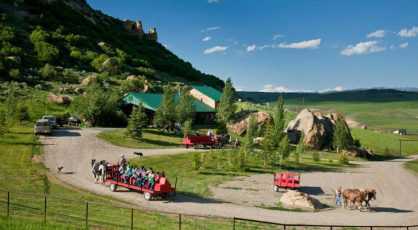 Take A Carriage Ride Through The Mountains For A Truly Unique Colorado Experience