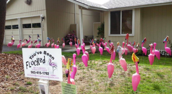 This Quirky Business Lets You Can Send Flamingos Instead Of Flowers, And It Couldn’t Be More Oregon