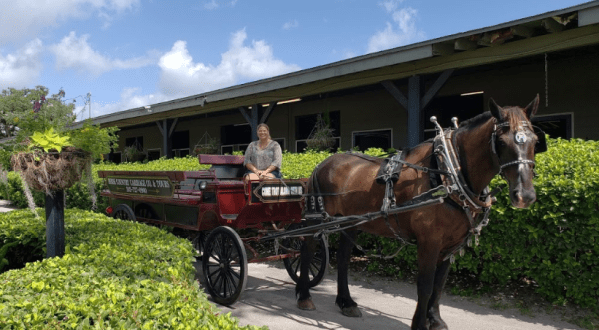 Take A Carriage Ride Through Horse Country For A Truly Unique Florida Experience