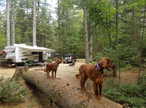 The 7 Highest Rated Campgrounds In New Hampshire Will Remind You Why We Love The Outdoors With Friends
