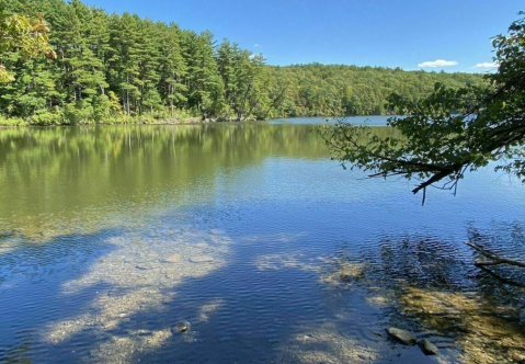 Enjoy Lake Views And More While Hiking The 3-Mile Colchester Pond Loop In Vermont