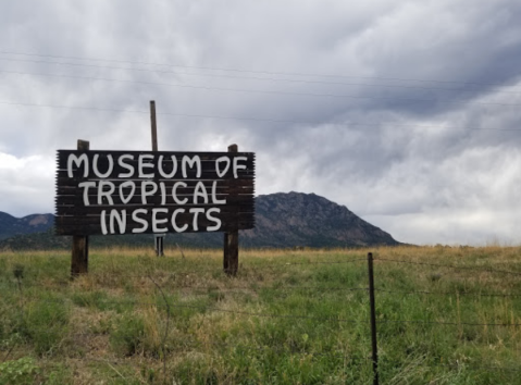 May’s Bug Museum Is Hands-Down Colorado's Weirdest Road Side Attraction