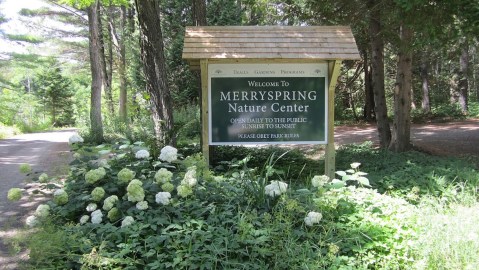 You Can't Find A Nicer Way To Spend The Day Outside In Maine That At The 66-Acre Merryspring Nature Center